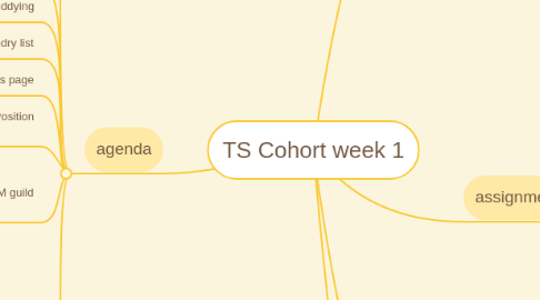 Mind Map: TS Cohort week 1