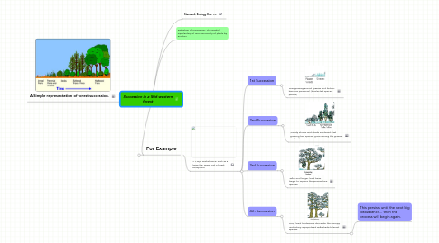 Mind Map: Succession in a Mid-western forest