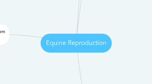 Mind Map: Equine Reproduction