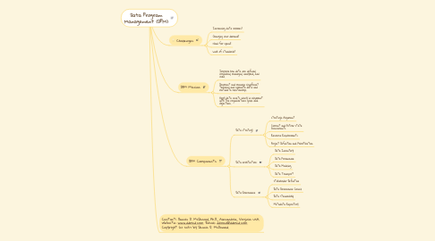 Mind Map: Data Program Management (DPM)