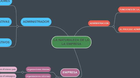 Mind Map: LA NATURALEZA DE LA LA EMPRESA
