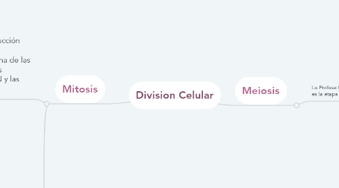Mind Map: Division Celular