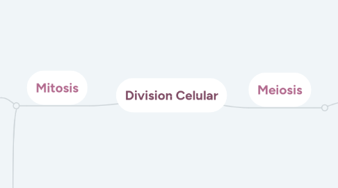 Mind Map: Division Celular