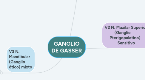 Mind Map: GANGLIO DE GASSER