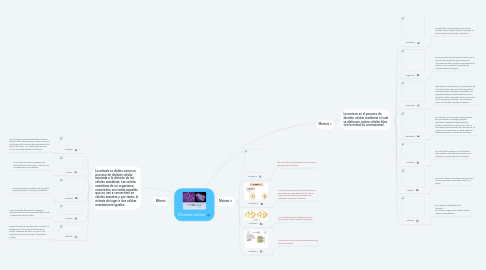 Mind Map: División celular