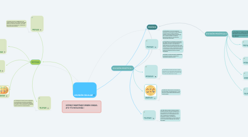 Mind Map: DIVISIÓN CELULAR