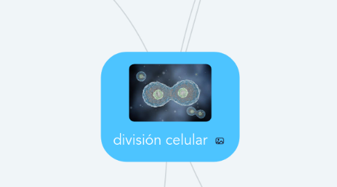 Mind Map: división celular