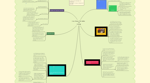 Mind Map: Caso Kawas Fernández   VS Holanda