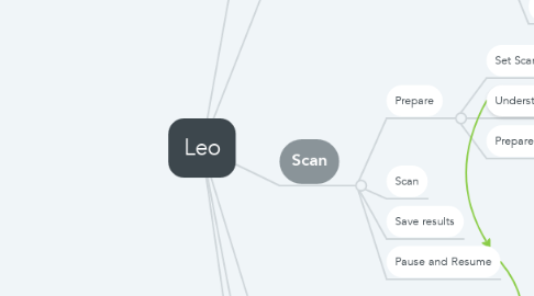 Mind Map: Leo