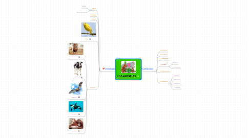 Mind Map: LOS ANIMALES