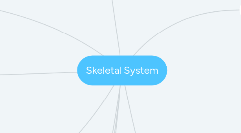 Mind Map: Skeletal System