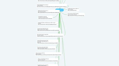 Mind Map: Cameo Cleaners