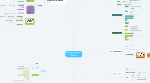 Mind Map: Aplicación de estiramientos en deportista sano y lesionado