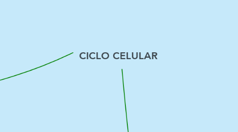 Mind Map: CICLO CELULAR