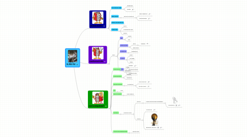 Mind Map: EL MEU PLE