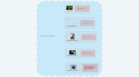 Mind Map: Piramide cadena alimentaria