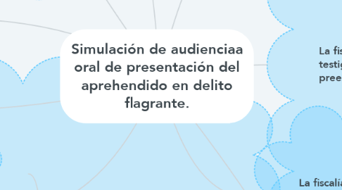 Mind Map: Simulación de audienciaa oral de presentación del aprehendido en delito flagrante.