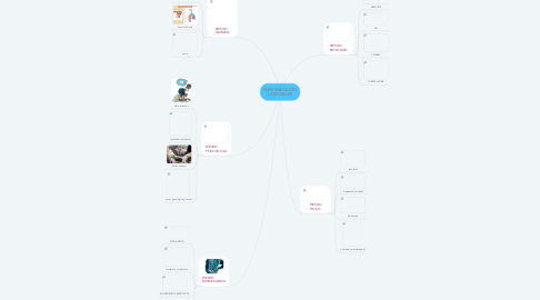 Mind Map: ENFERMEDADES LABORALES