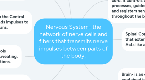 Mind Map: Nervous System