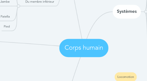 Mind Map: Corps humain