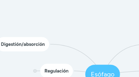 Mind Map: Esófago