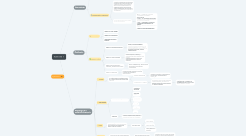 Mind Map: Auditoría