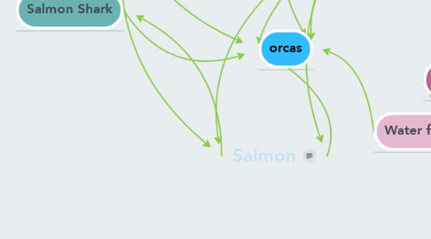 Mind Map: Salmon