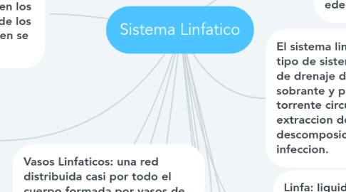 Mind Map: Sistema Linfatico