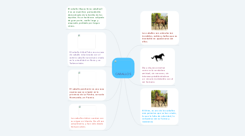 Mind Map: CABALLOS