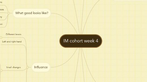 Mind Map: IM cohort week 4