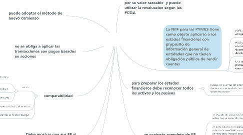 Mind Map: SECCION 35 PYMES