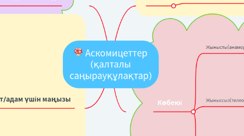 Mind Map: Аскомицеттер (қалталы саңырауқұлақтар)