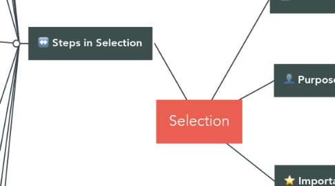 Mind Map: Selection