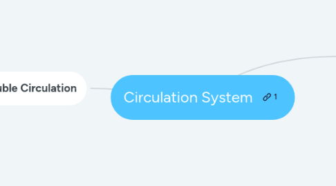 Mind Map: Circulation System