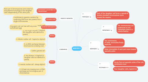 Mind Map: MIEOSIS II