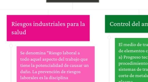 Mind Map: Salud Industrial