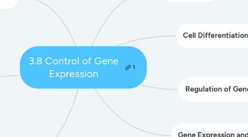 Mind Map: 3.8 Control of Gene Expression