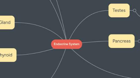 Mind Map: Endocrine System