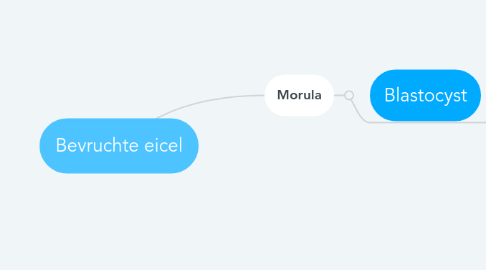 Mind Map: Bevruchte eicel