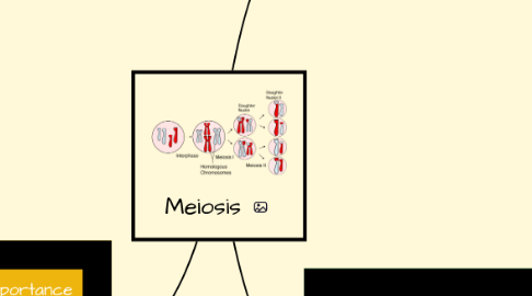 Mind Map: Meiosis