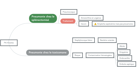 Mind Map: P4.4 Autres