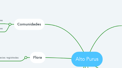 Mind Map: Alto Purus