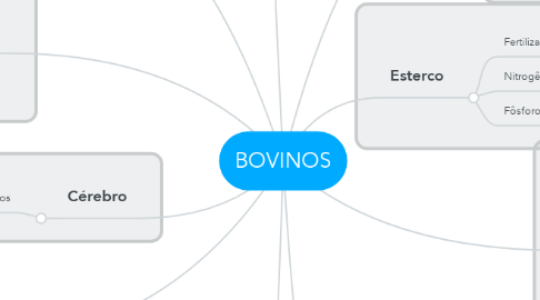 Mind Map: BOVINOS