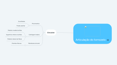 Mind Map: Articulação do tornozelo