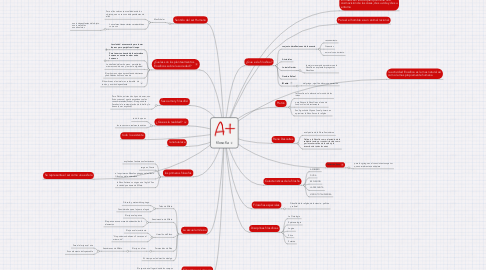 Mind Map: filosofía