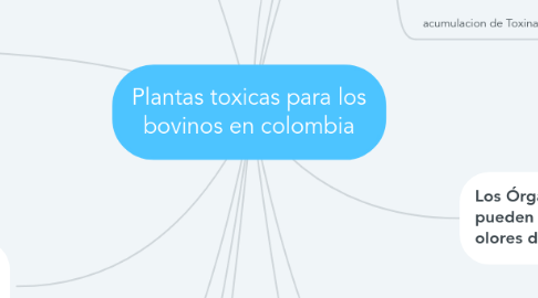 Mind Map: Plantas toxicas para los bovinos en colombia