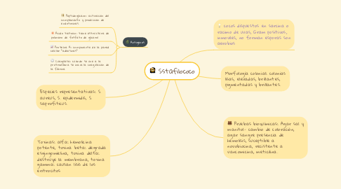 Mind Map: Sstafilococo