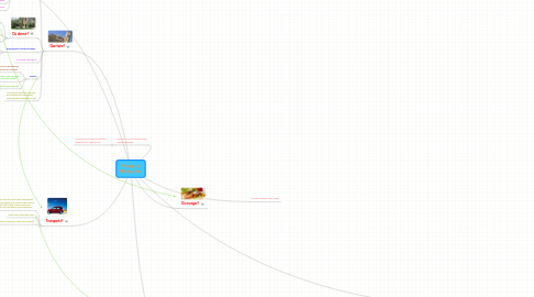 Mind Map: Voyage à Montpellier