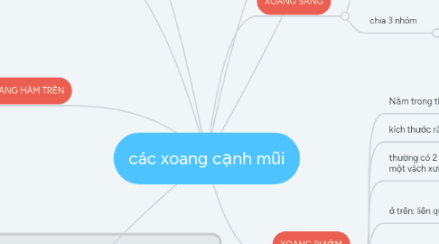 Mind Map: các xoang cạnh mũi