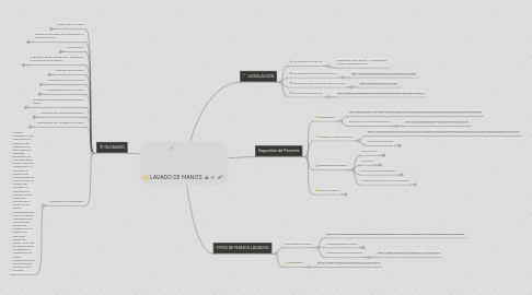 Mind Map: LAVADO DE MANOS